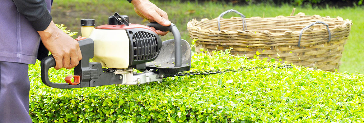 photo entretien espaces verts